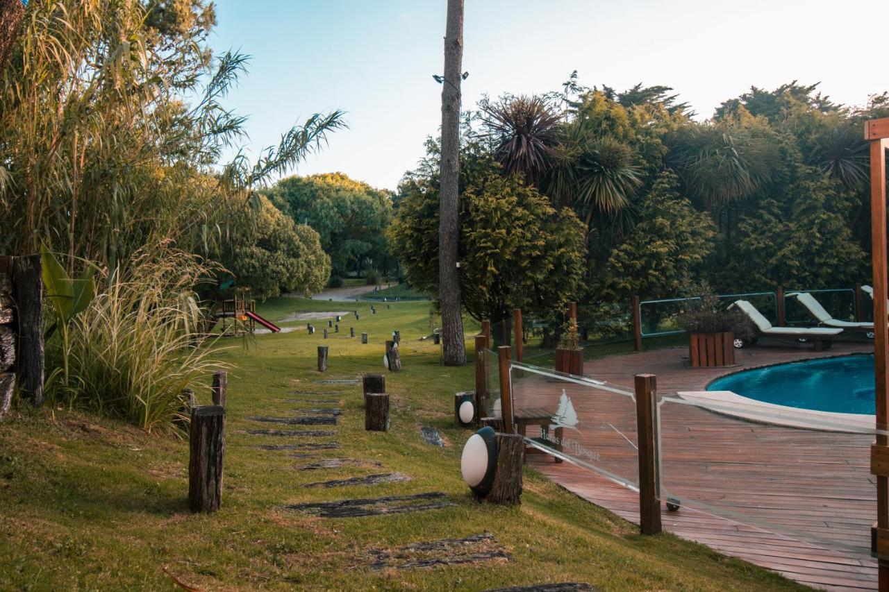 Haras Del Bosque *